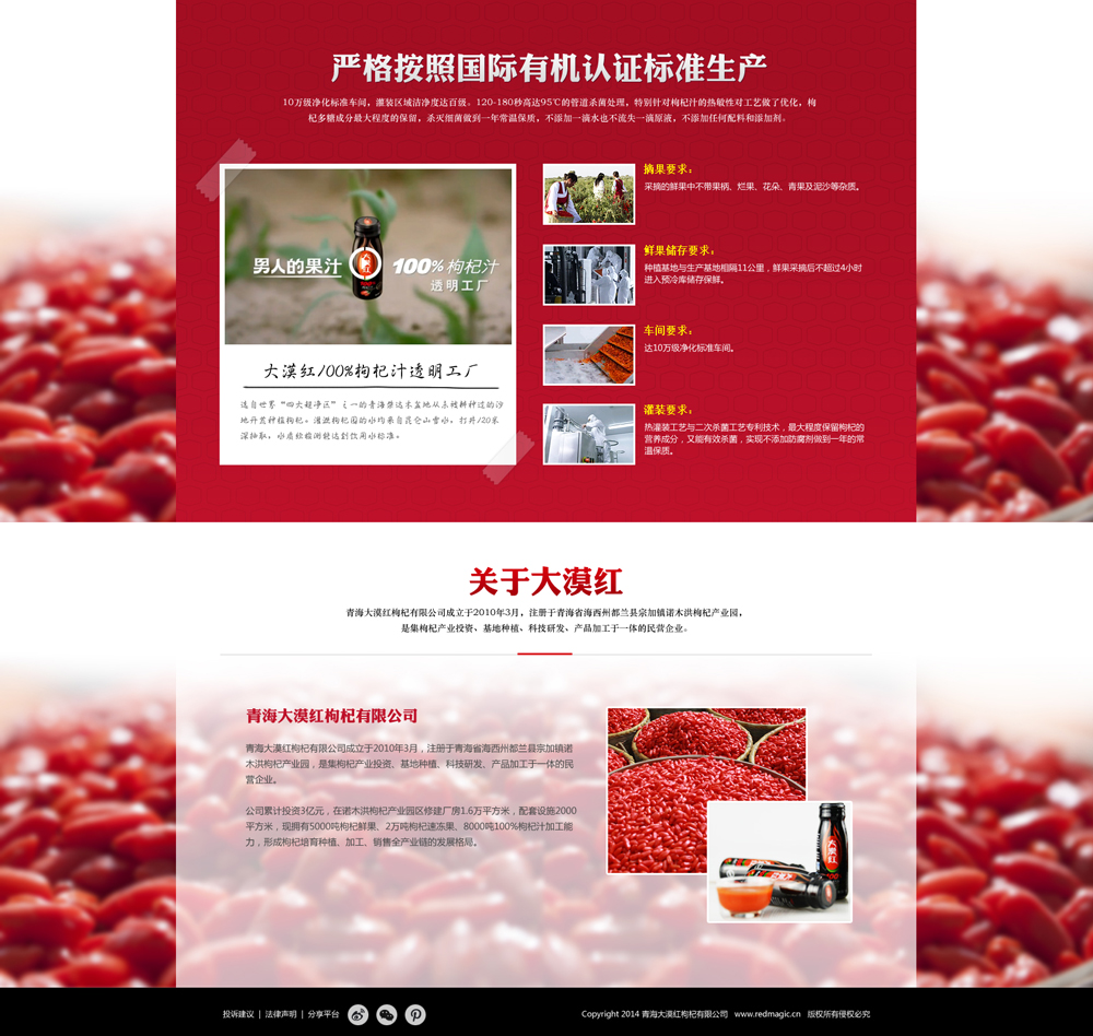 青海大漠红枸杞网站建设项目