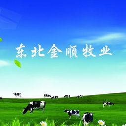 长春做网站公司 网站建设 网站设计 微信平台制作 亿人科技13756566613,18946773937,18186893973