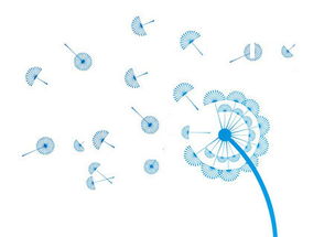 携手长春网站建设，打造企业专属的数字化门户