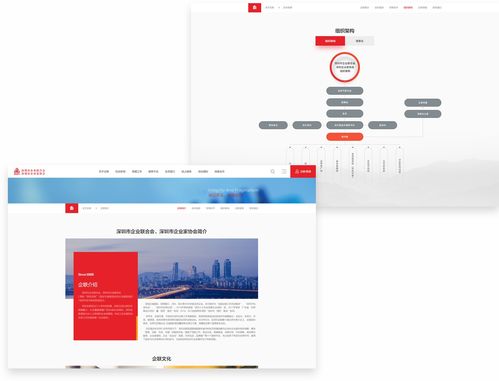 深圳企业联合会携手沙漠风网站建设公司，打造长春企业数字化转型标杆